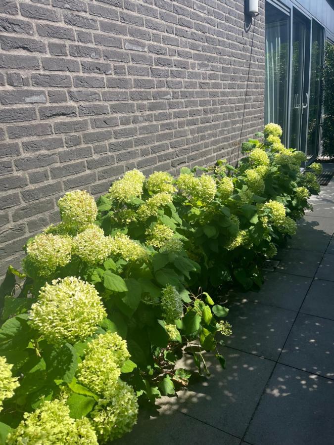 Appartement Huisje36 Middelbourg