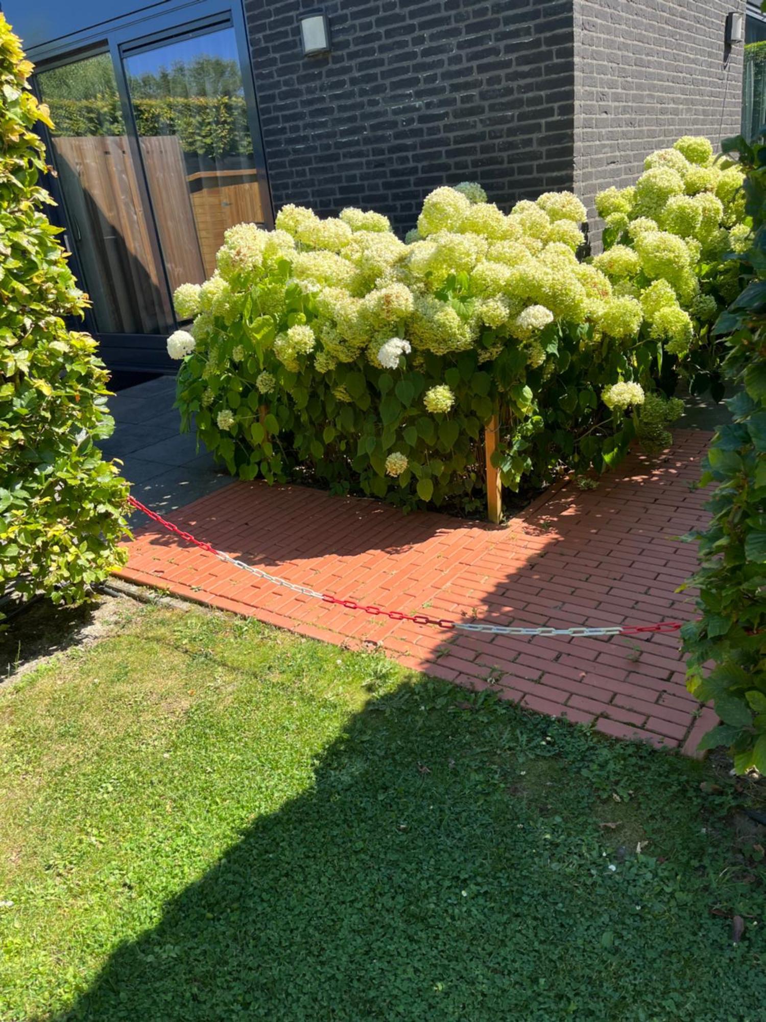 Huisje36 *